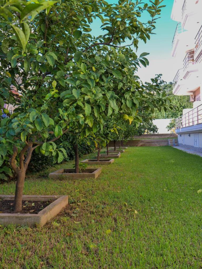 Himara Royal Hotel Buitenkant foto